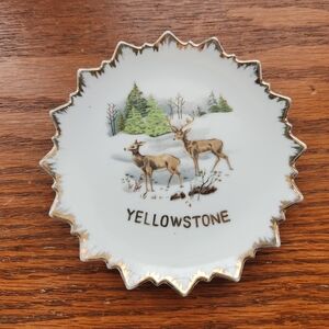 Ceramic hanging Yellowstone collectible plate